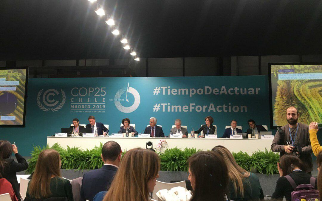 Partecipazione alla COP25, Madrid